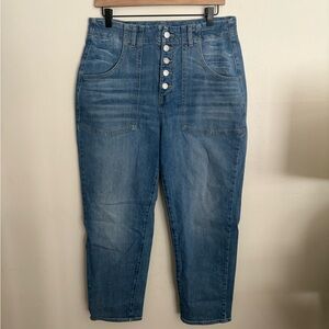 Veronica Beard Arya Straight Nova High Rise Blue Jeans Button Fly Womens size 31
